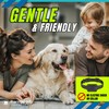 BarxBuddy [3-Pack] BarkShield Home Anti Barking Device, 66ft Long Range