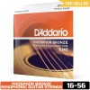 D'Addario Phosphor Bronze Resophonic Guitar Strings EJ42 - 6 String