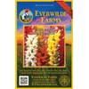 Everwilde Farms - 1 Oz Tetra Mix Snapdragon Wildflower Seeds