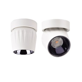 Vrnzau LED Ceiling Spotlight 12W - Directional Spot Light 360° Rotate / 6000K / Cold White/Wall Lamp Ceiling Spotlight for Hallway Gallery Display Living Room/White - Cold White Light (White, 6000K)