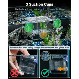 Pawfly Aquarium Fish Incubator Aquarium Incubator with 6 Suction Cups Acrylic Incubator for Baby Fish Shrimp Betta Small Guppy Platy