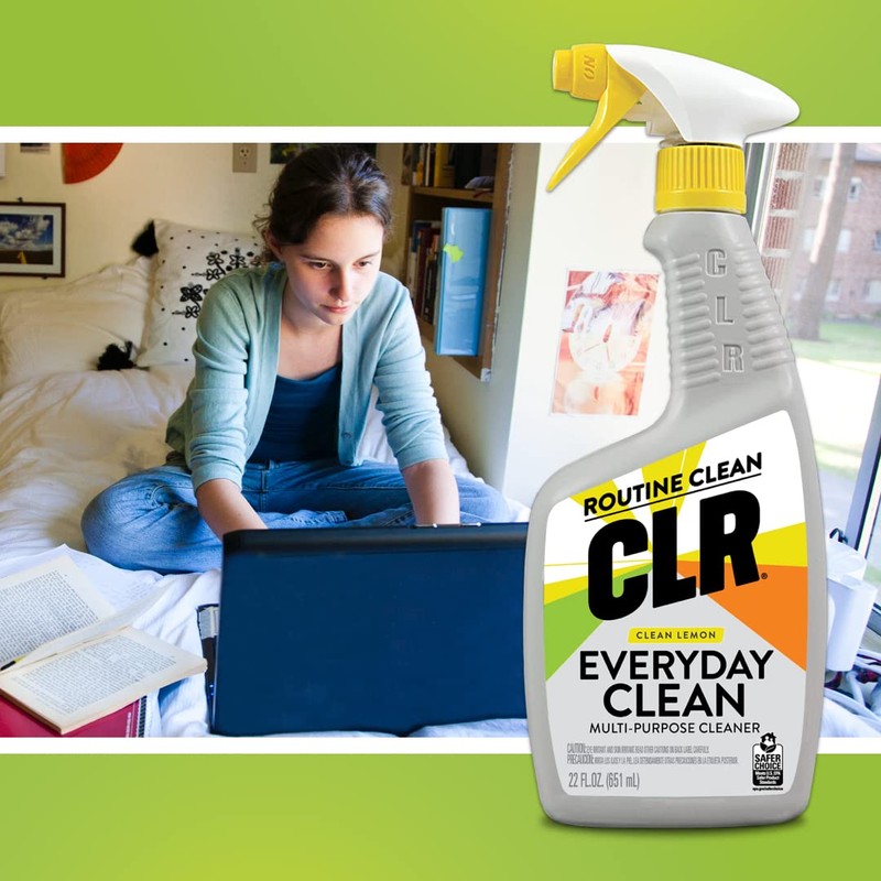 CLR Everyday Clean Multi Purpose Cleaner, Clean Lemon, 22 Ounce
