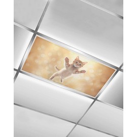 Cute Orange Cat Fluorescent Light Covers for Ceiling Lights 4x2 feet,1 Pack Magnetic Light Filters for Classroom,Lovely Modern Floating Pet Kitten Fluorescent Lights Shade Panel for Office School Drop