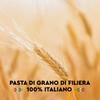 Japan and Europe Shoji Grano Armando fusilli 500g