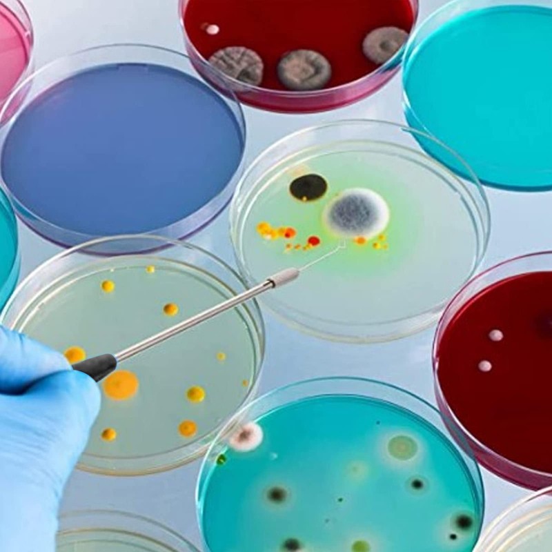 Inoculating Loop Kit CopperInoculating Rod Kit Length 23cm Reusable Inoculation