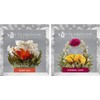 Té floreciente de jazmín, lirio de hadas y flores de