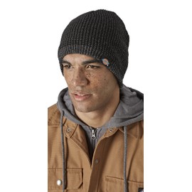 Dickies - Beanie Unisex Evadale Beanie, Winter Headwear, black