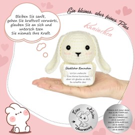 QUANMAITONG Lucky Charm Rabbit Pocket Hug Gift for Women, Easter Gift, Funny Courage Children's Gift Lucky Charm Exam, Get Well Gifts