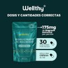 Wellthy Bisglicinato Magnesio Liposomal Cápsulas Entrega Optimizada Mas Alta Biodisponibilidad