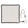 Plant Growing Lamp Scientific Control Low Heat LED Grow Light