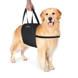 Walkabelly Support Sling, Easy-to-Use Belly Harness for Daily Mobility, Stop Straining to Lift Your Pet, Quick-Lift Original Design by Walkabout Harnesses (Medium Walkabelly)