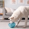 Outward Hound Outward Hound by Planet Dog Snoop Interactive Treat