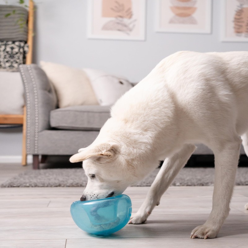 Outward Hound Outward Hound by Planet Dog Snoop Interactive Treat