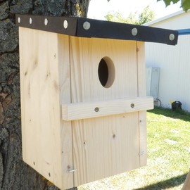 Martinshof Manufacture Wooden Bird House Nesting Box Garden Red Tail 48/32 mm Fully Assembled