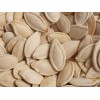 CZ Grain 20 Cinderella Pumpkin Seeds for Planting