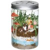 Creativity For Kids 1137000 Grow N' Glow Terrarium, 1137000