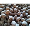 Root Beer Bulk Sanded Candy Drops - 2 lbs of