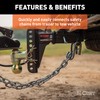 CURT 81810 3/8-Inch Certified Trailer Safety Chain S-Hook with Latch,