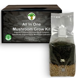 MycoHaus Mushroom All in One Growing Kit with Injection Ports | Indoor Grow Bags for Mushrooms | Home Cultivation Supplies | Without Spores | 4 Pack