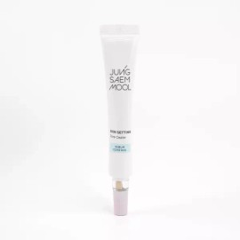 Jung Saem Mool 정샘물 스킨 세팅 포어 실러 20ml, 1개 - R Jung Saem Mool Skin Setting Pore Sealer 20ml, 1 piece - R