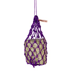 Equilibrium Munch Net