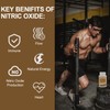 SehatiKu Nitric Oxide Supplement, Nitric Oxide Booster & 6-in-1 Phytonutrient