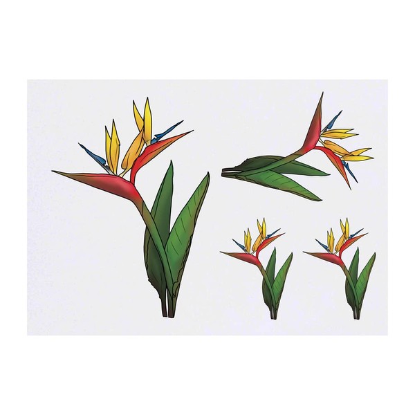 4 x 'Bird Of Paradise Flower' Temporary Tattoos - Water