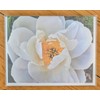 jenfotos Cool White Flower Note Card, blank with envelope
