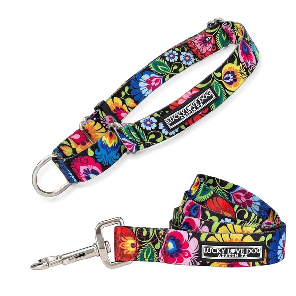 Lucky Love Dog Martingale Collar and Leash Set, Premium No