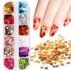 12 Colors Fall Nail Art Stickers Maple Leaf Nail Glitter
