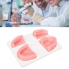 Dental Suture Practice Kit Silicone Model Pliers Tweezers Thread Oral