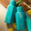 TPH by Taraji Honey Fresh Clarifying Shampoo ? 12oz (Pack
