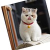 LUYING Cat Collar Bell Cat Collar with Yellow Bell Cute