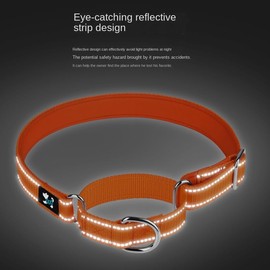 haoyueer Adjustable Martingale Safety Training Dog Collars, Soft Neoprene Padded Breathable Nylon Pet Collar for Large Medium Small Dogs (S, Orange)