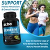 Berberine Supplement Capsules - 1200mg Berberine HCL Supplement for Healthy