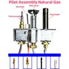 EVIMOTAL 25660, 4021-732 Pilot Assembly Natural Gas (NG) for Heatilator,