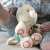 Ingenuity, Nate Plush Toy with many activities such as a