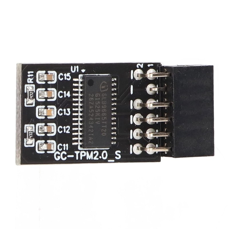 TPM 2.0 Module LPC SPI 12 Pin Remote Card Encryption