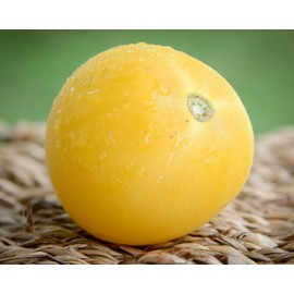 Garden Peach Cocona Peruvian Heirloom Tomato Premium Seeds for Planting Packet