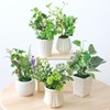 山久 造花 インテリア CT触媒加工のグリーンミニポット 5個おまかせセット 姫グリーン 観葉植物 0910-9010a 人工観葉植物 フェイクグリーン