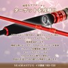 ori-784351 Fishing Gear, Carbon Ship Squid Rod, Seamastag Direct Connection