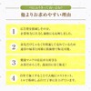お茶の山麓園 べにふうき茶 粉末 パウダー 50g×3個(150g) 緑茶 メチル化カテキン 豊富 鹿児島産 紅ふうき茶