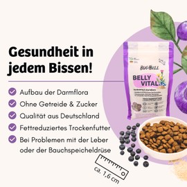 BugBell BugBell 800g Premium Trockenfutter, Magenschonend, Hypoallergen, f??r Probleme mit der Bauchspeicheldr??se oder Leber, L?wenzahn, Mariendistel, Pr?biotika & Probiotika