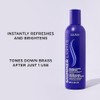 Clairol Open Line Shampoo Acondicionador Morado Shimmer Lights, 236 ml