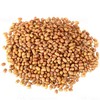 Rani Moth Beans Whole 32oz (2lbs) 908g ~ All Natural