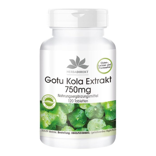 Gotu Kola 750mg - High Dose Extract - Vegan - 120 Tablets - with Zinc and Vitamin C | Herba Direkt