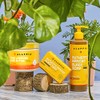 Alaffia - EveryDay Shea - Pure Fair Trade Shea Butter,