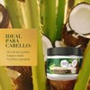 Tratamiento para cabello Herbal Essences Bío renew Leche de Coco