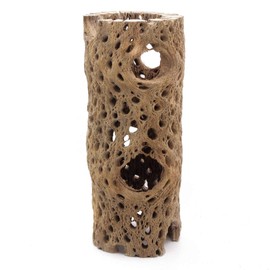 My Pet Patrol 3 to 48 Inch All Natural Teddy Bear Cholla Wood Extra Hollow Large Untreated Organic Aquarium Driftwood Decoration Chew Toy Shrimp Crab Multi-Quantity