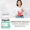 DigestIt Digestive Enzymes | Multi-Enzyme Formula with Amylase, Protease &